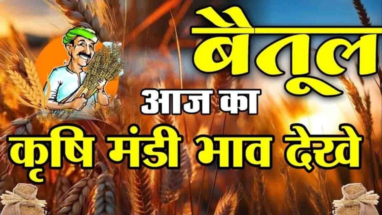 Betul Mandi Bhav : 13 मार्च के नए ताजा मंडी भाव, जाने आज क्या है गेहूँ के भाव