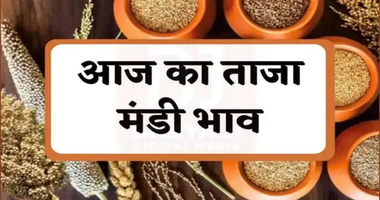 13 जून 2025 का आज का Mandi Bhav