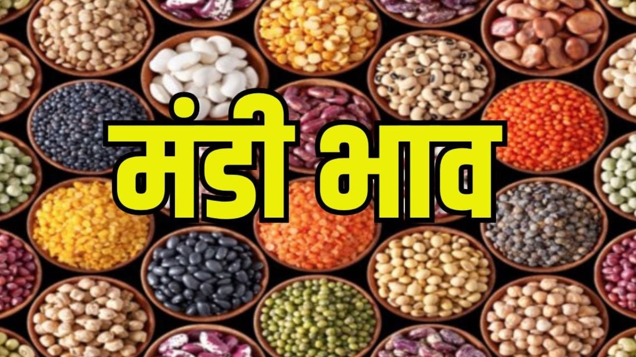 Mandi Bhav: 16 जून को प्याज की कीमतों में जबरदस्त उछाल