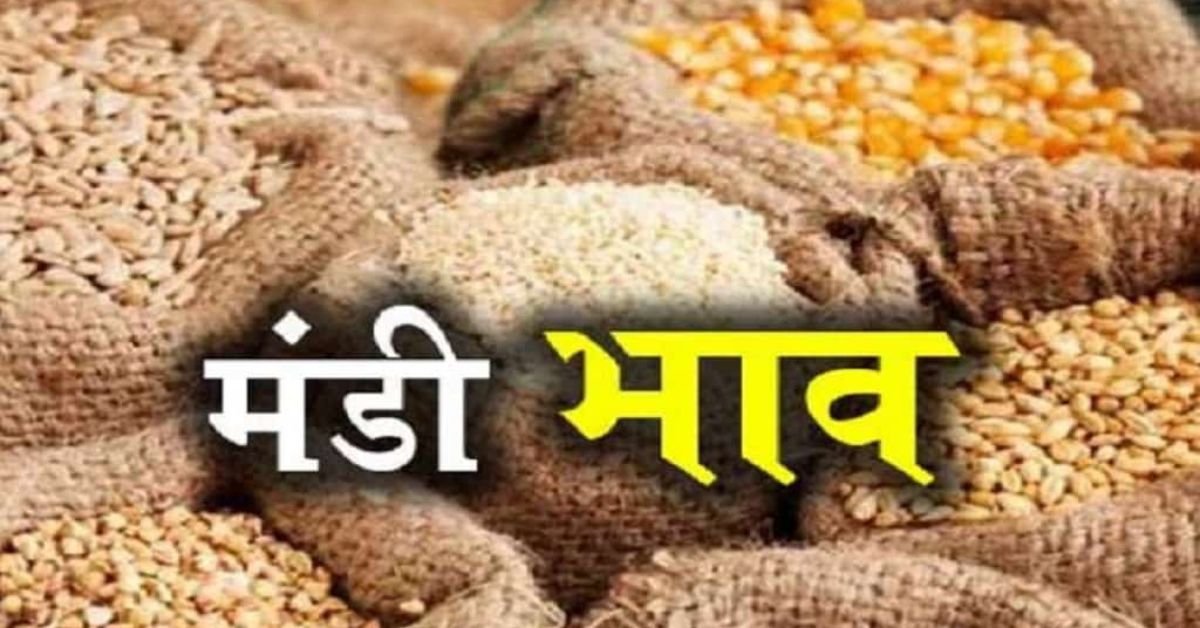Mandi Bhav Today