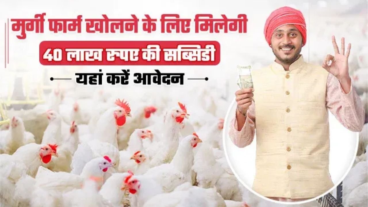 Poultry Farming Loan: मुर्गी पालन के लिए सरकार दे रही 40 लाख तक की सब्सिडी, ऐसे करे आवेदन