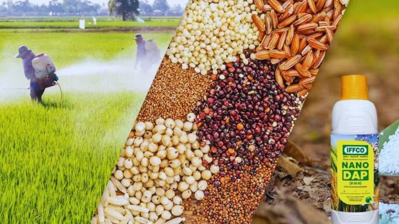 Nano DAP : किसान भाई खेतो में इस तरह करें Nano DAP खाद का इस्तेमाल, कम लागत में होगा तगड़ा उत्पादन