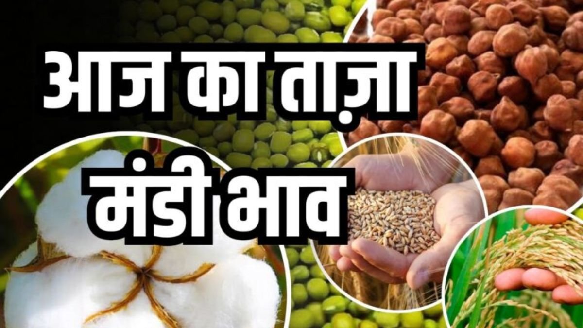Aaj Ka Mandi Bhav 8 July 2025: जानें आज के गेहूं, चना, सोयाबीन, प्याज़, लहसुन और सब्ज़ियों के ताज़ा रेट