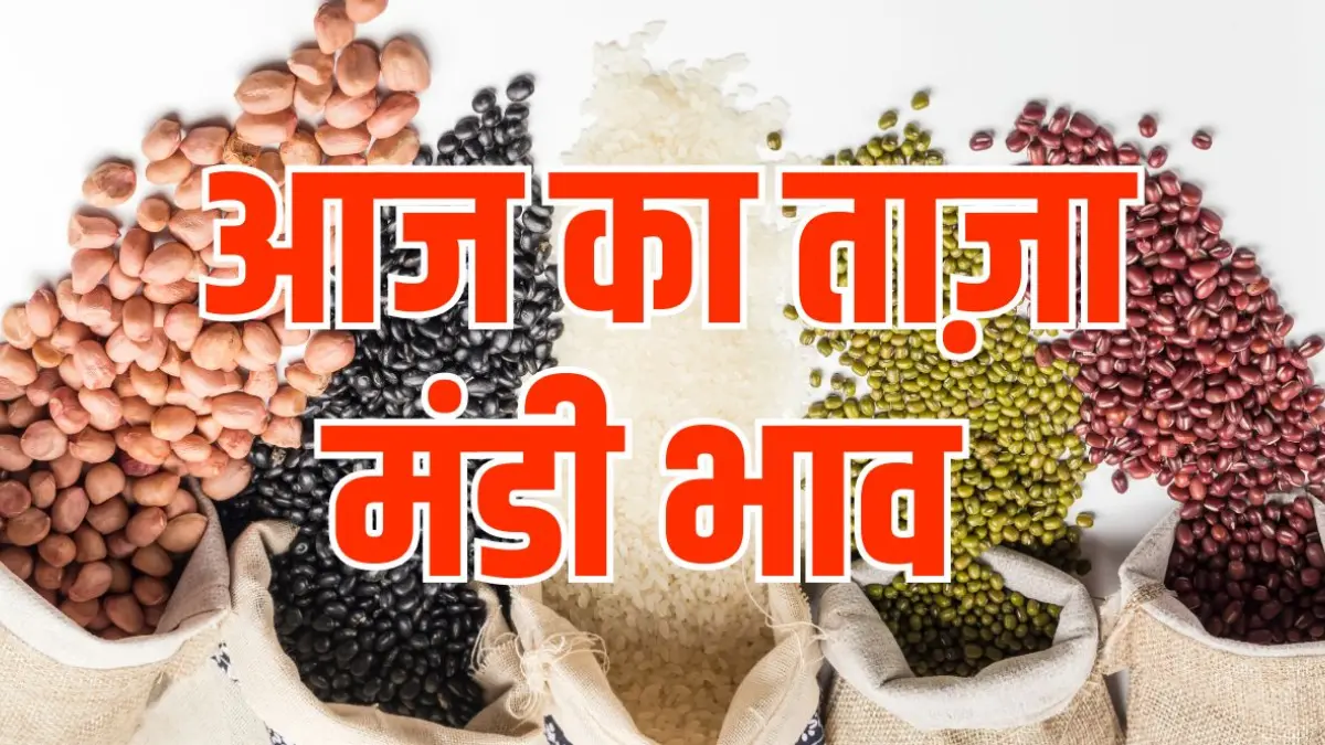 Aaj ka Mandi Bhav 25 July 2025: आज के ताजा अनाज, दाल और सब्जी के मंडी रेट