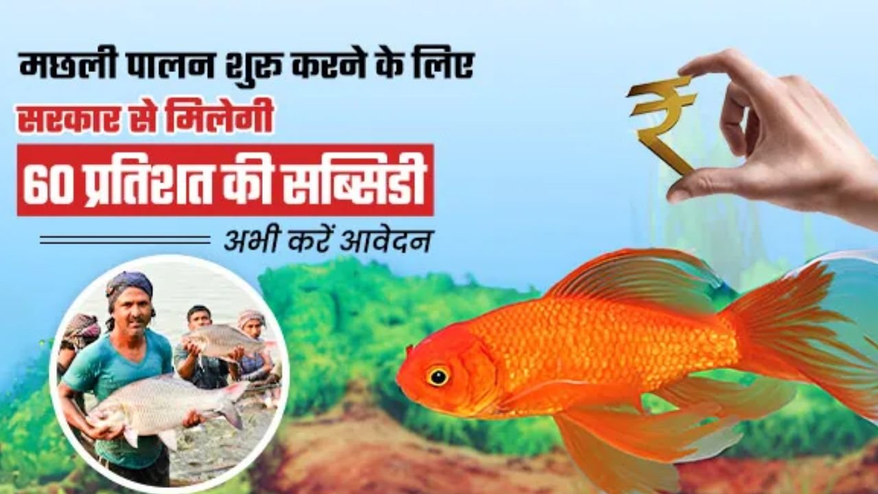 Fish Farming: मछली पालन कर कमा सकते है लाखो का मुनाफा, सरकार दे रही 60 प्रतिशत सब्सिडी, जाने डिटेल