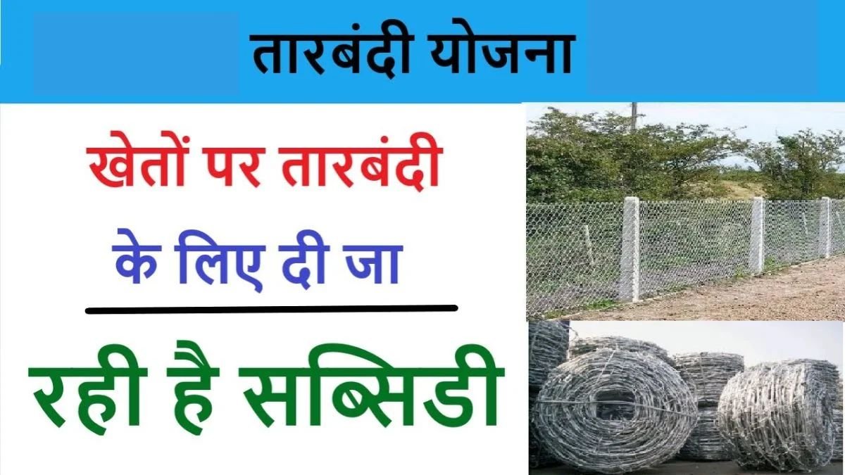 आवारा पशु अब नहीं करेंगे फसल बर्बाद, तारबंदी के लिए सरकार दे रही सब्सिडी, जाने आवेदन की पूरी प्रक्रिया