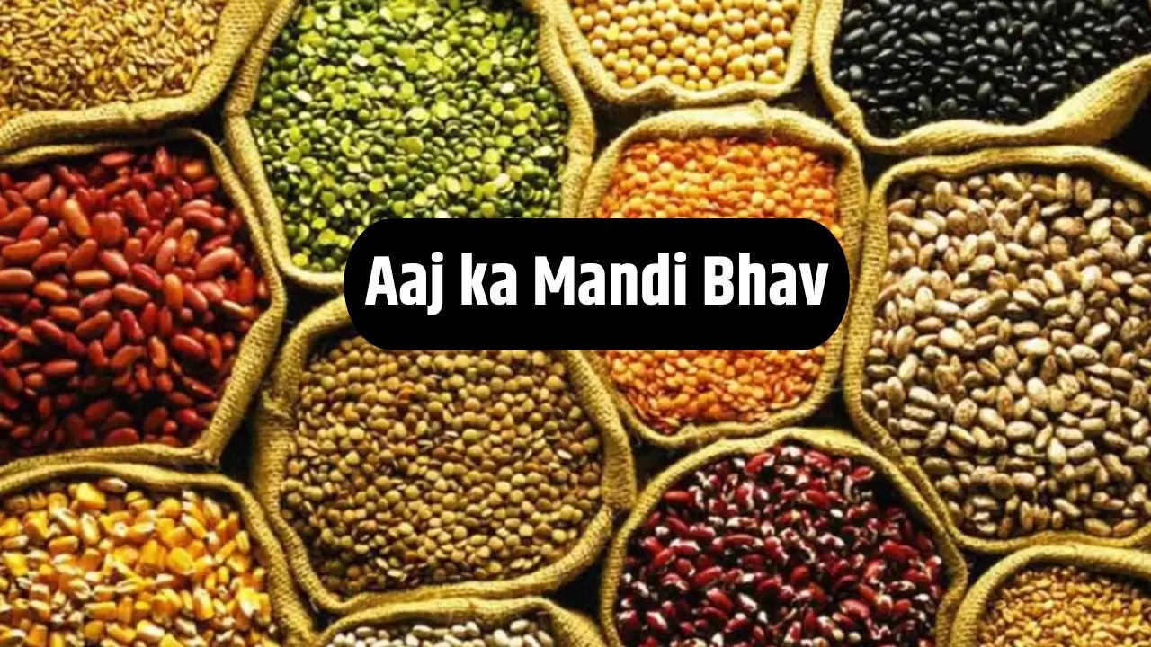 Aaj ka Mandi Bhav 3 जुलाई 2025: अनाज, सब्जी, प्याज, लहसुन और आलू के आज के ताज़ा रेट