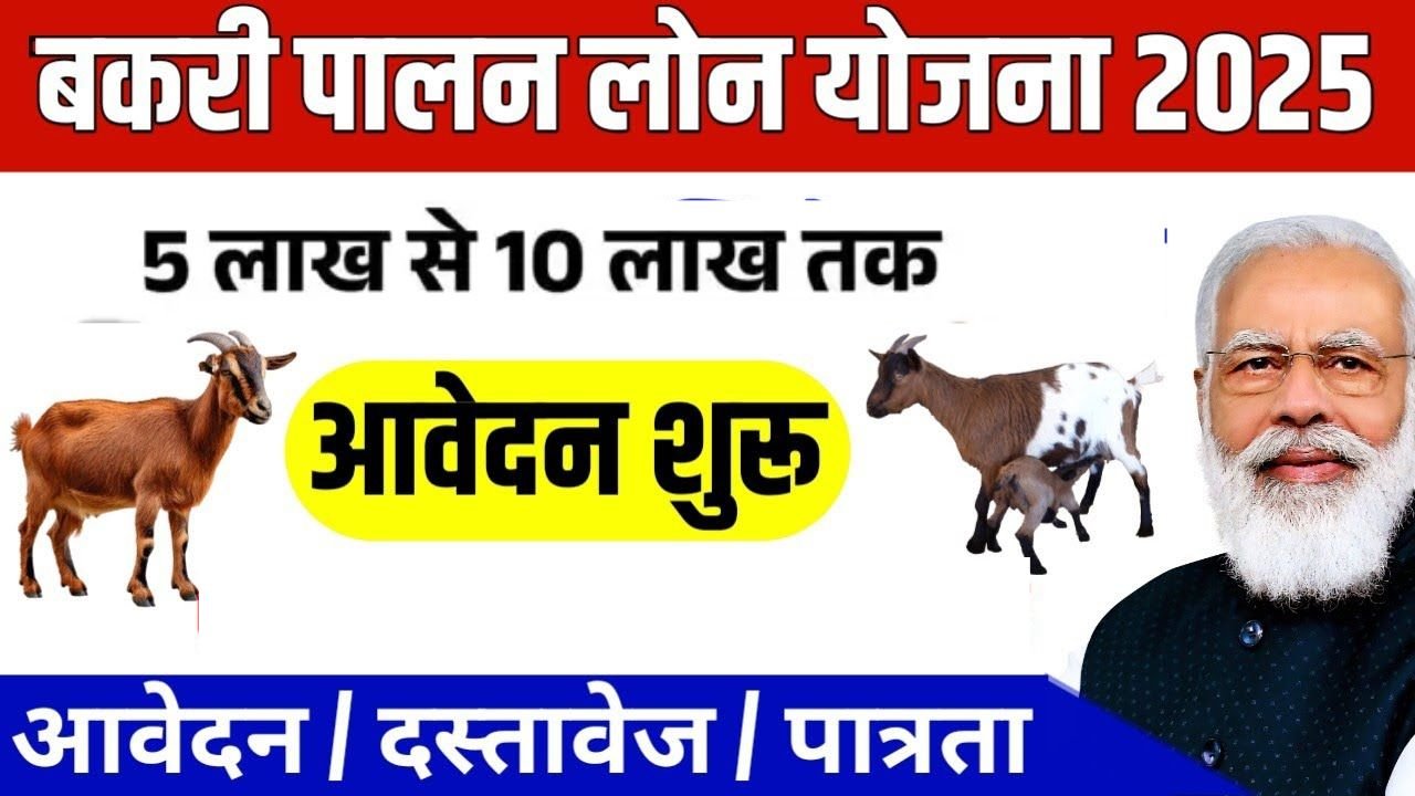 Bakri Palan Loan 2025: बकरी पालन शुरू करने के लिए सरकार दे रही लोन, आवेदन प्रक्रिया शुरू, जानें पात्रता और आवेदन प्रकिया