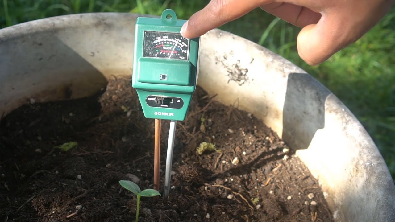 Soil pH
