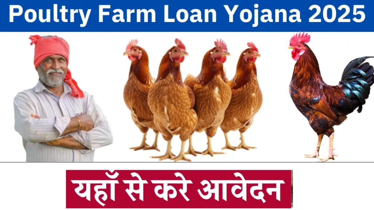 Poultry Farm Loan Yojana 2025: मुर्गी पालन व्यवसाय के लिए सरकारी दे लोन और सब्सिडी, जाने डिटेल